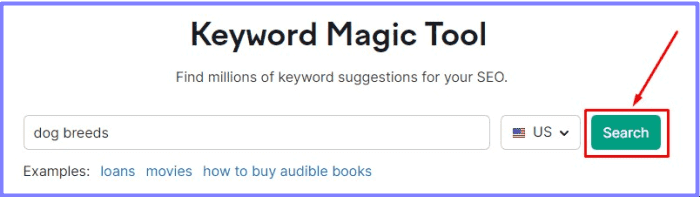  Keyword Magic Tool