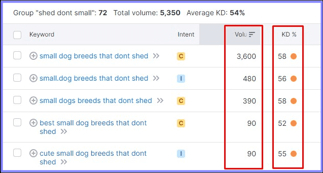 Keyword Overview Tool vs Keyword Magic Tool