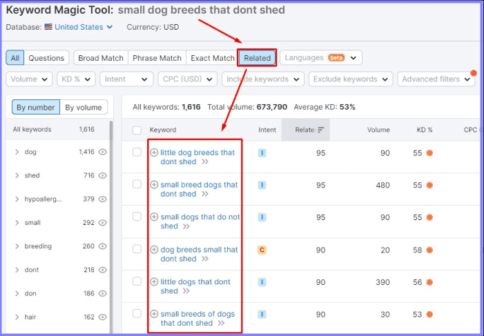 Look for related and secondary keywords