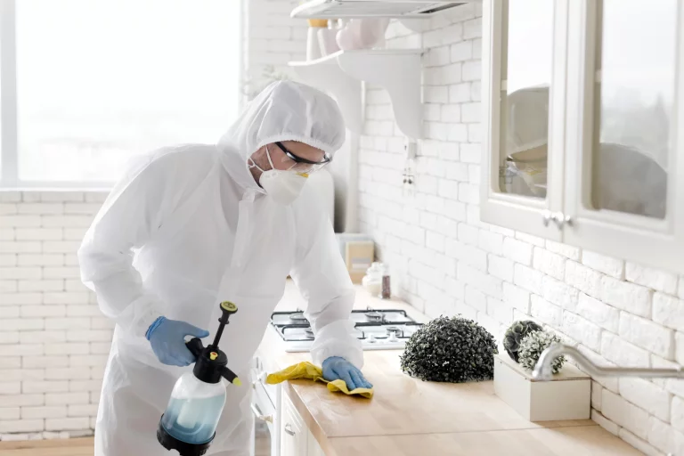 mold marketing seo services